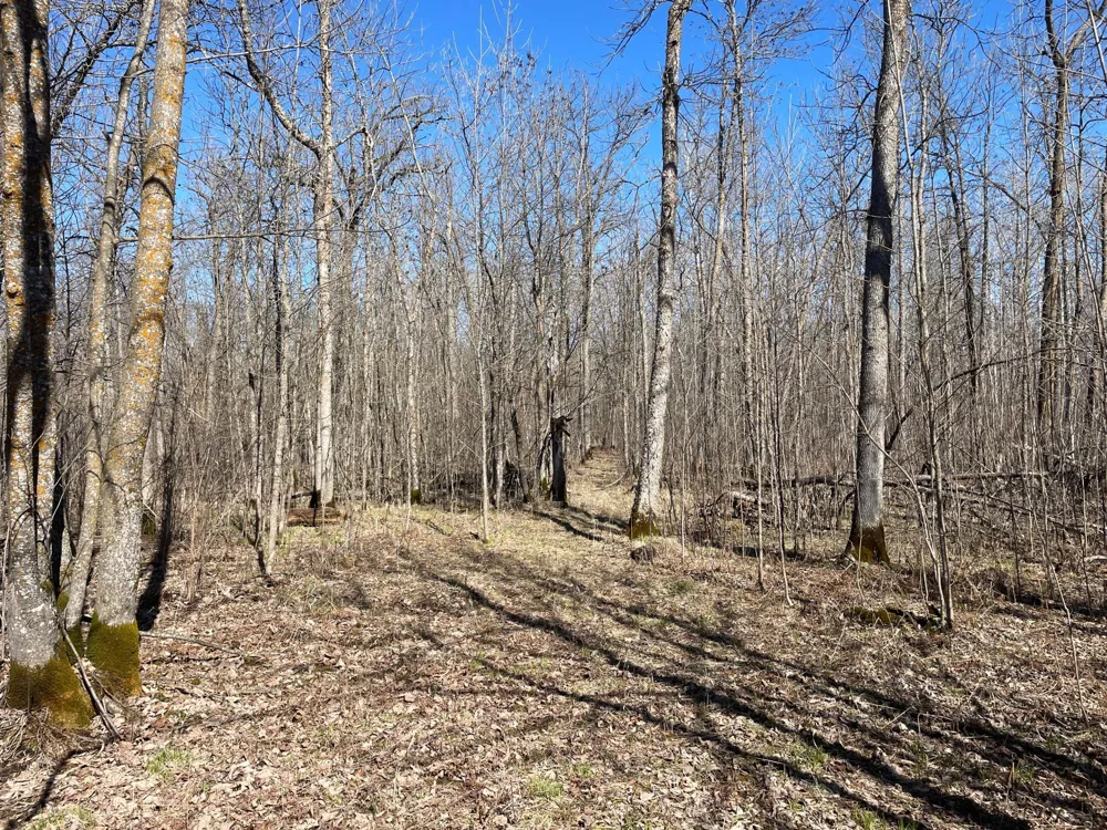 TBD Cormorant Road NE Kelliher, MN 56650