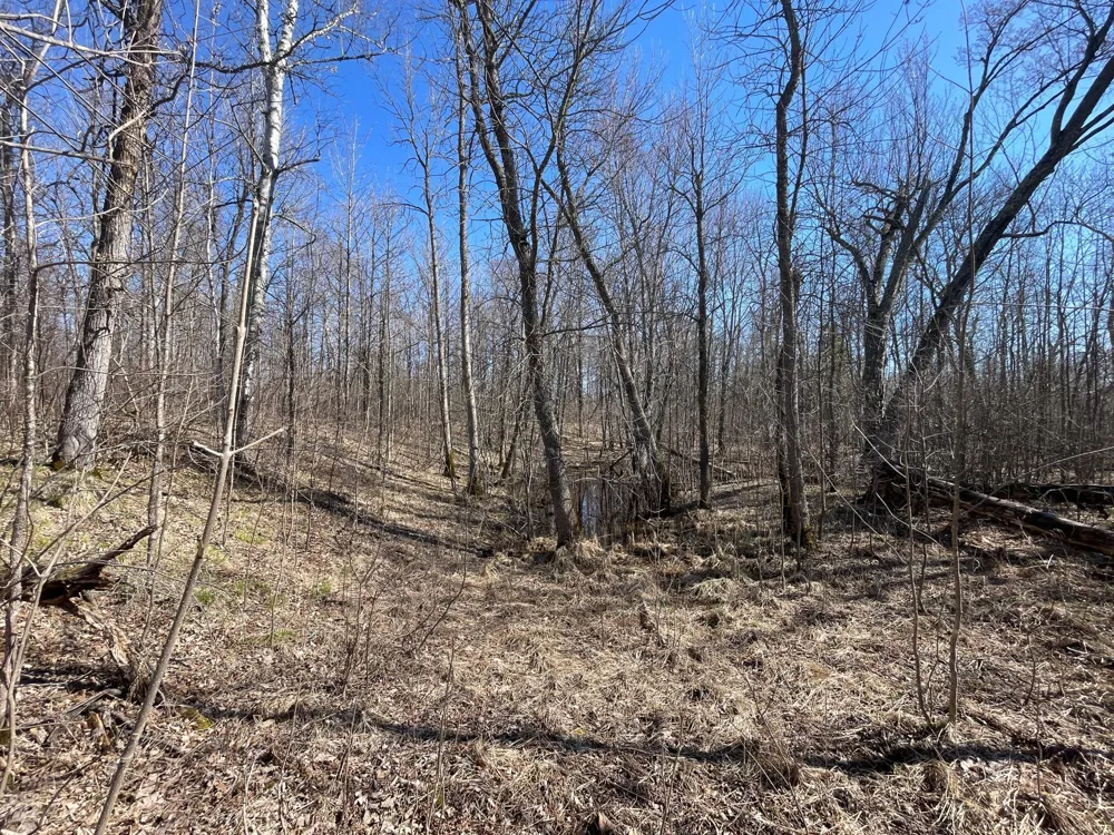TBD Cormorant Road NE Kelliher, MN 56650