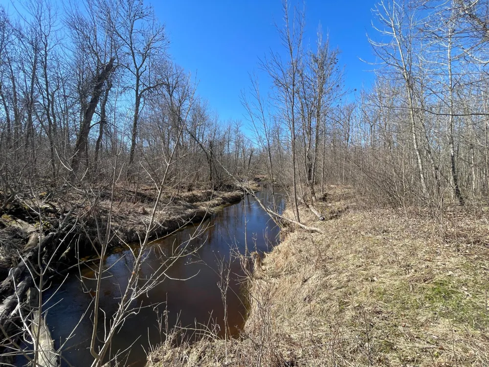 TBD Cormorant Road NE Kelliher, MN 56650