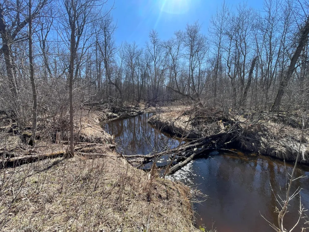 TBD Cormorant Road NE Kelliher, MN 56650