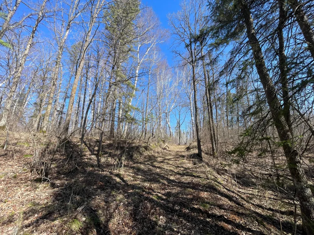 TBD Cormorant Road NE Kelliher, MN 56650