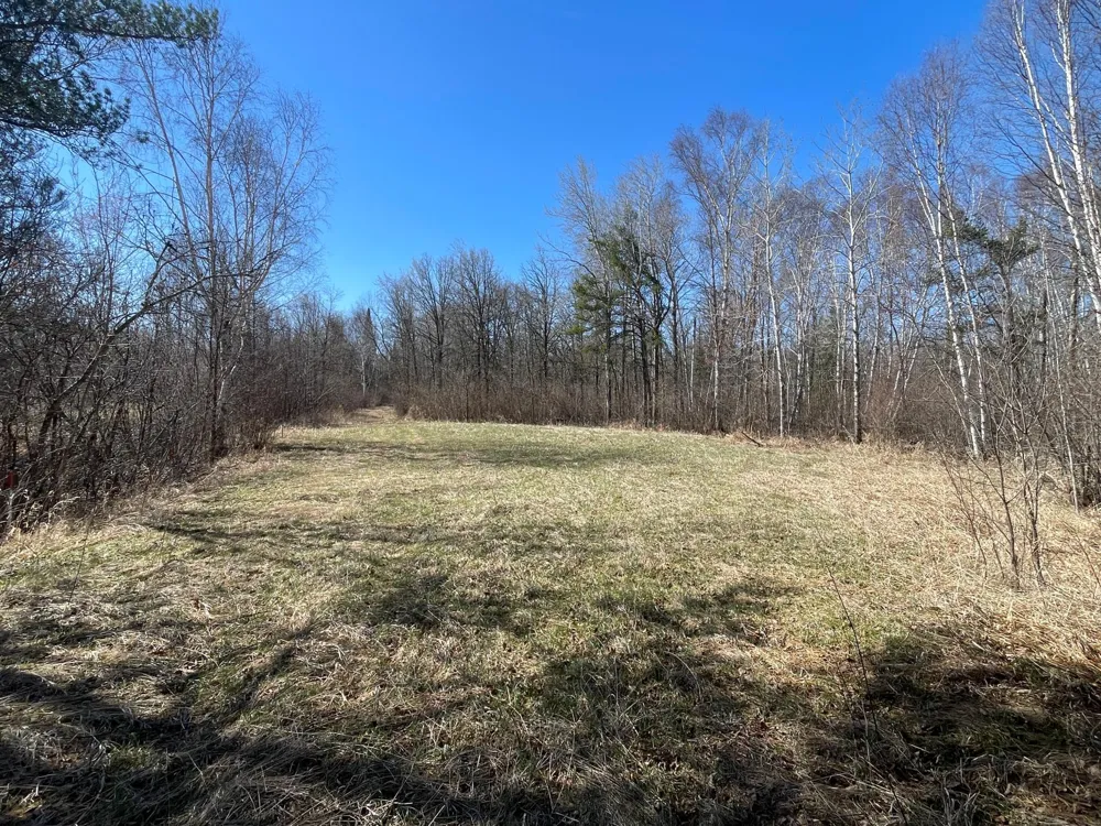 TBD Cormorant Road NE Kelliher, MN 56650