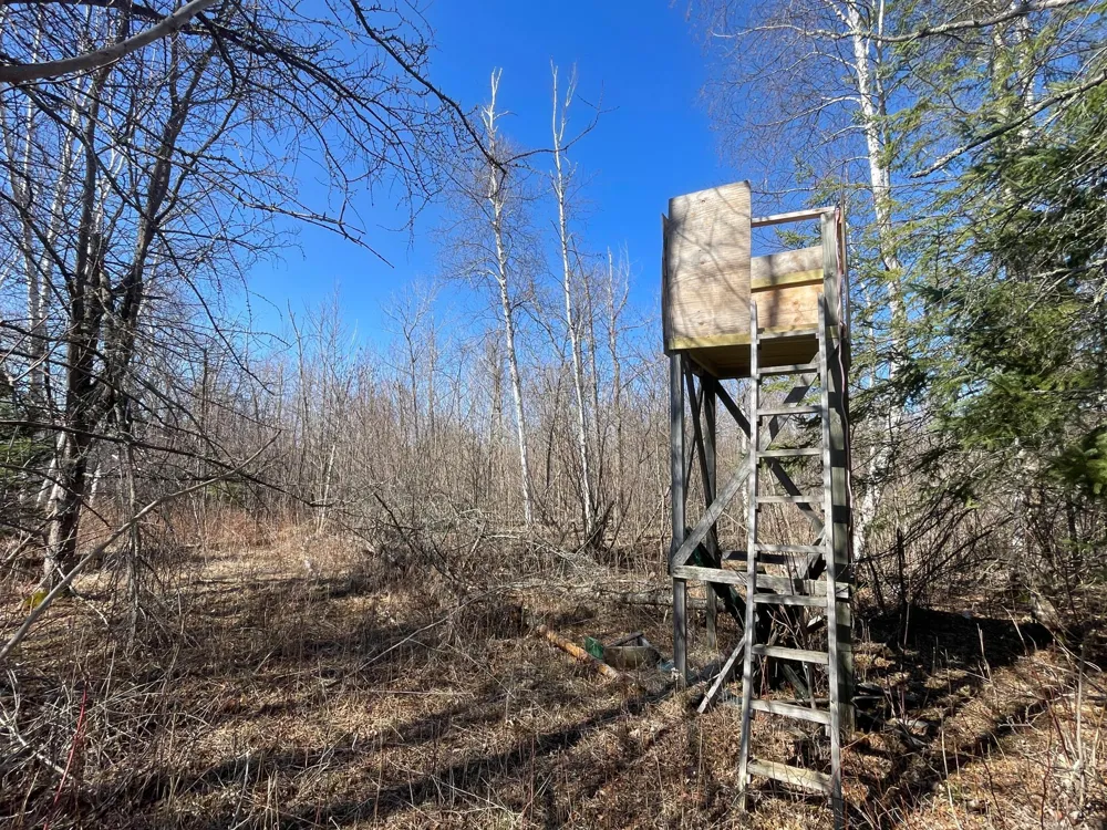 TBD Cormorant Road NE Kelliher, MN 56650