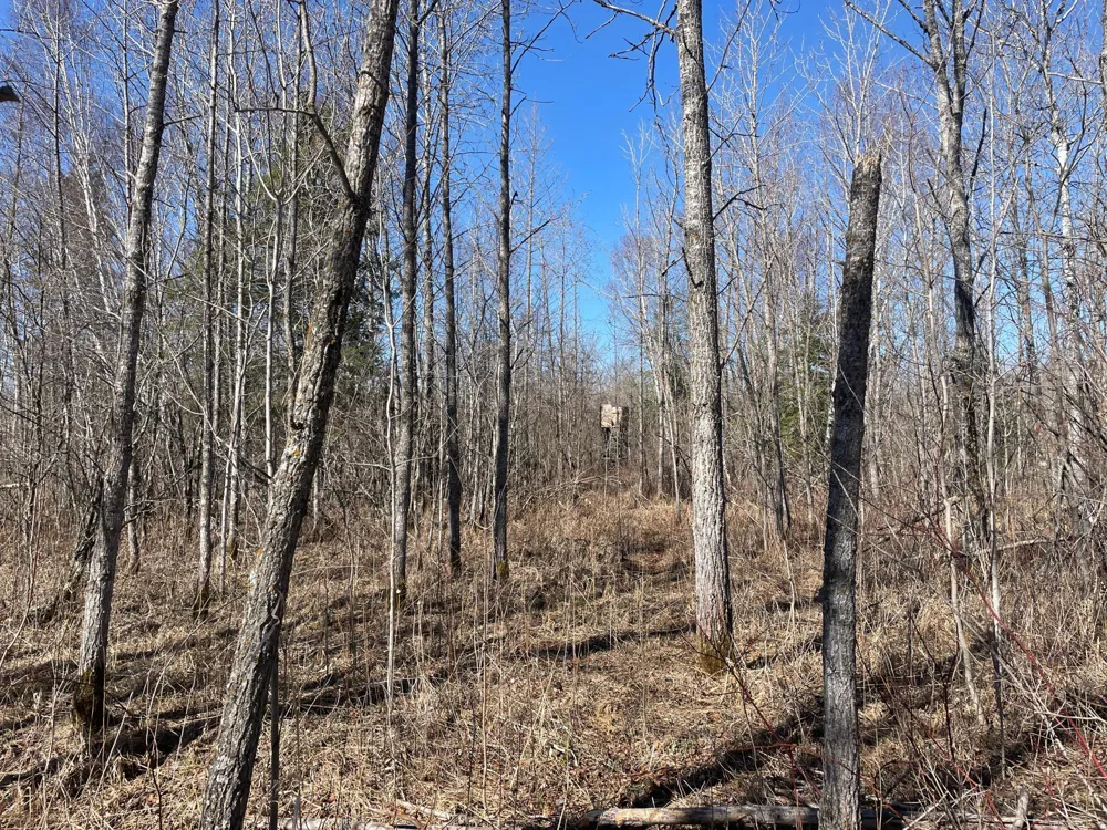 TBD Cormorant Road NE Kelliher, MN 56650