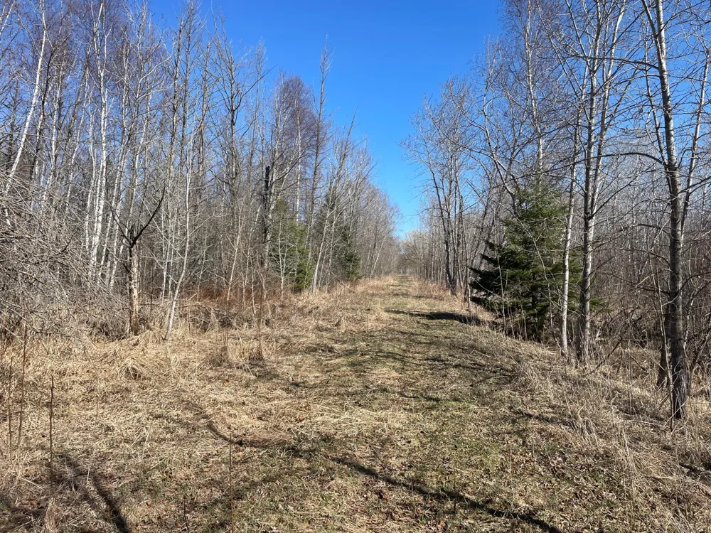 TBD Cormorant Road NE Kelliher, MN 56650