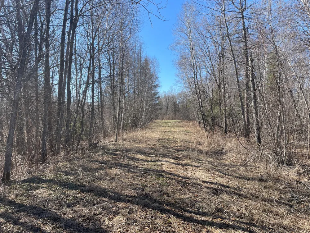 TBD Cormorant Road NE Kelliher, MN 56650