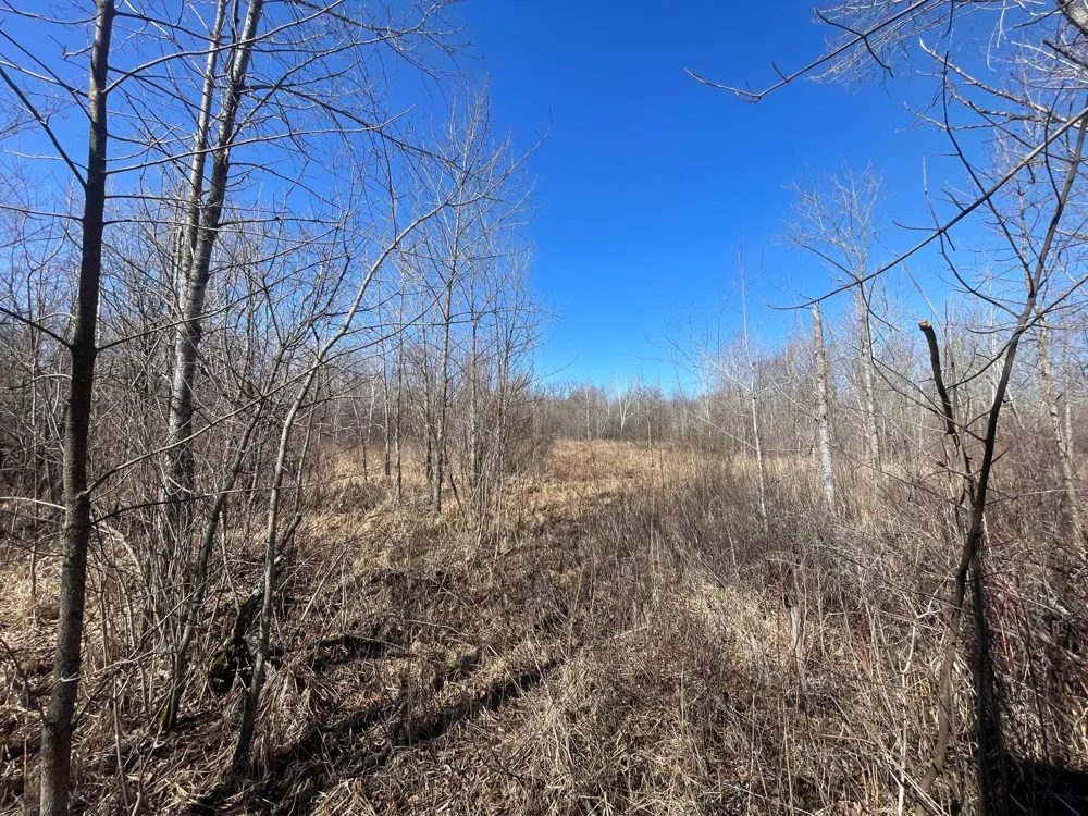 TBD Cormorant Road NE Kelliher, MN 56650