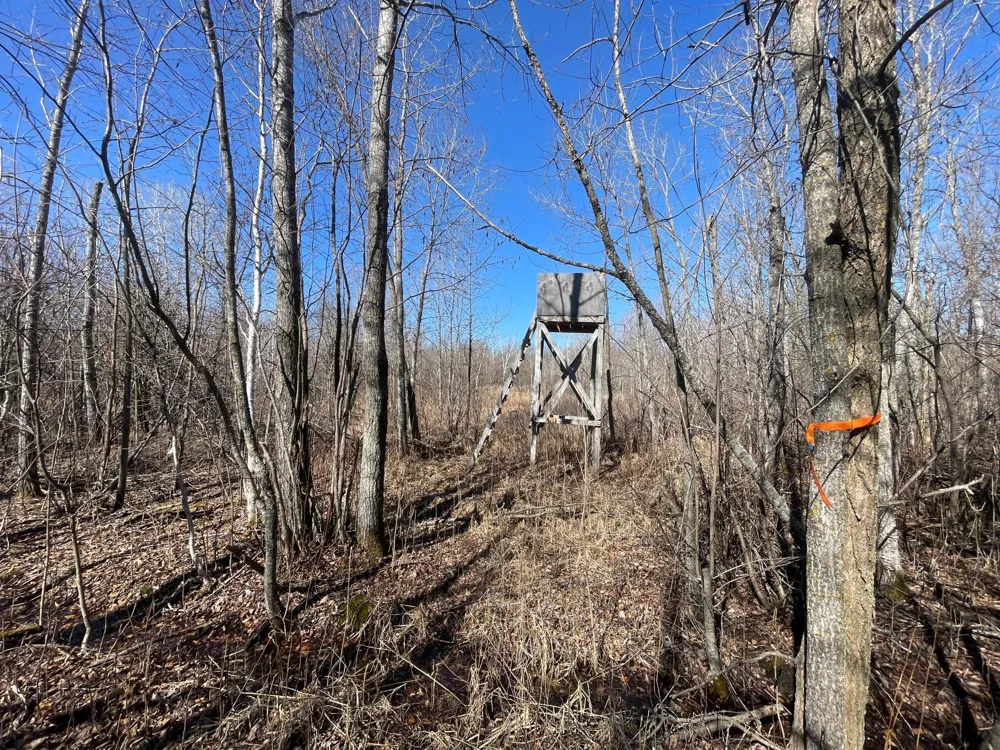 TBD Cormorant Road NE Kelliher, MN 56650