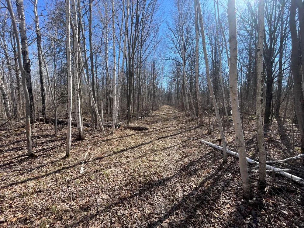 TBD Cormorant Road NE Kelliher, MN 56650