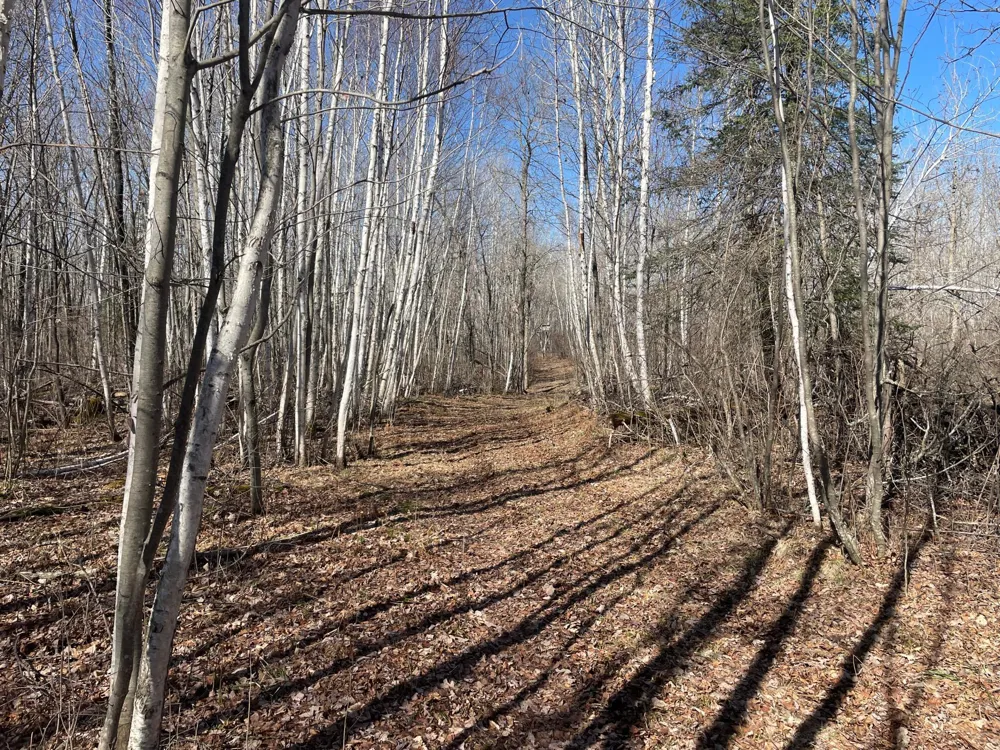 TBD Cormorant Road NE Kelliher, MN 56650