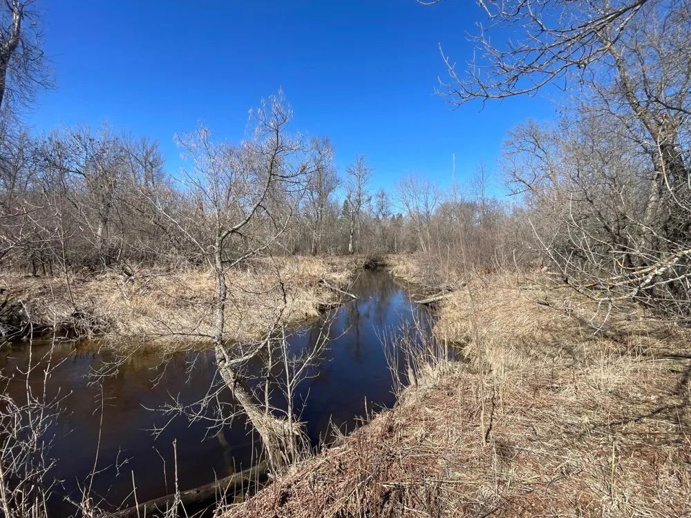 TBD Cormorant Road NE Kelliher, MN 56650