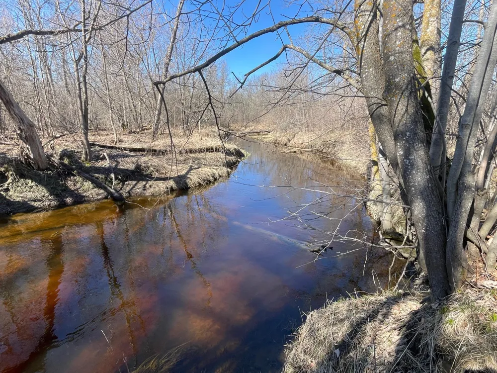 TBD Cormorant Road NE Kelliher, MN 56650