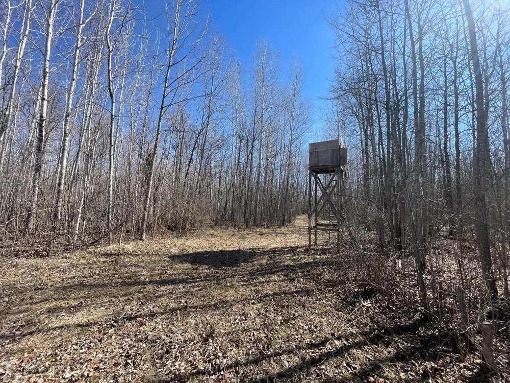 TBD Cormorant Road NE Kelliher, MN 56650