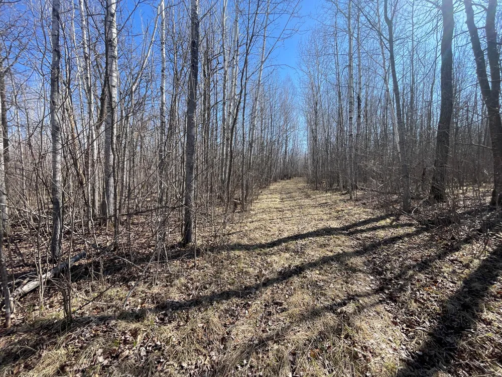 TBD Cormorant Road NE Kelliher, MN 56650