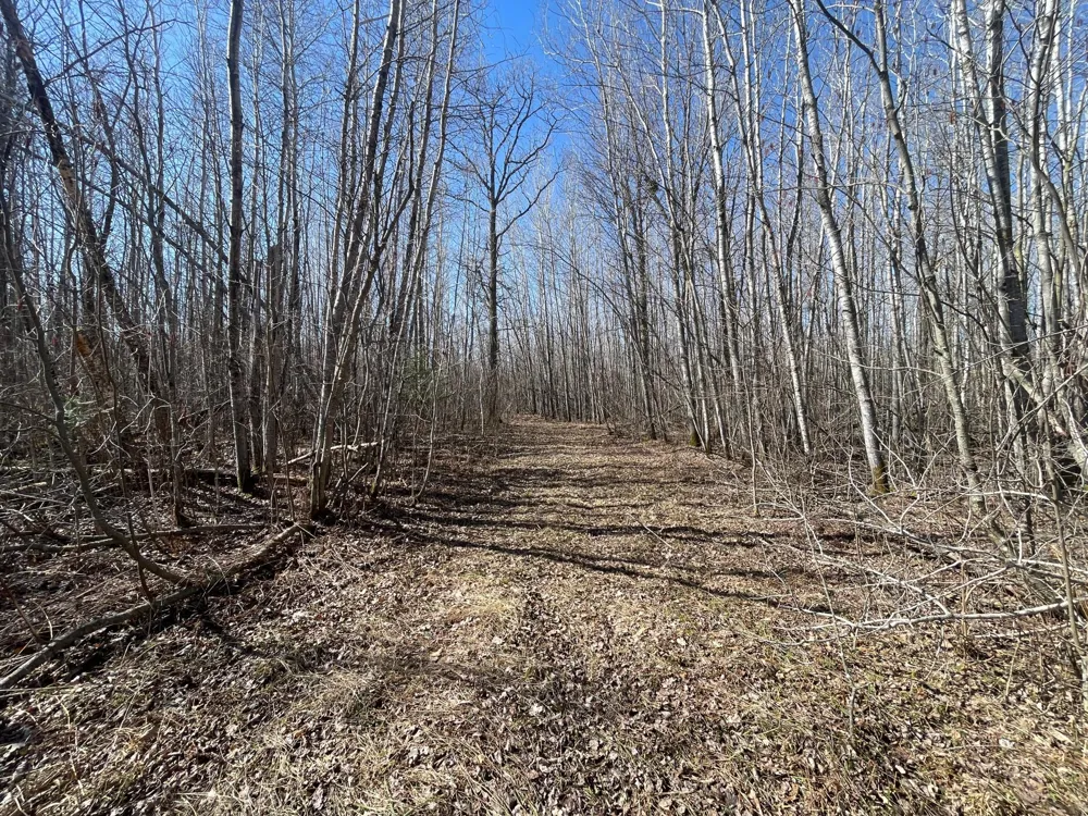TBD Cormorant Road NE Kelliher, MN 56650