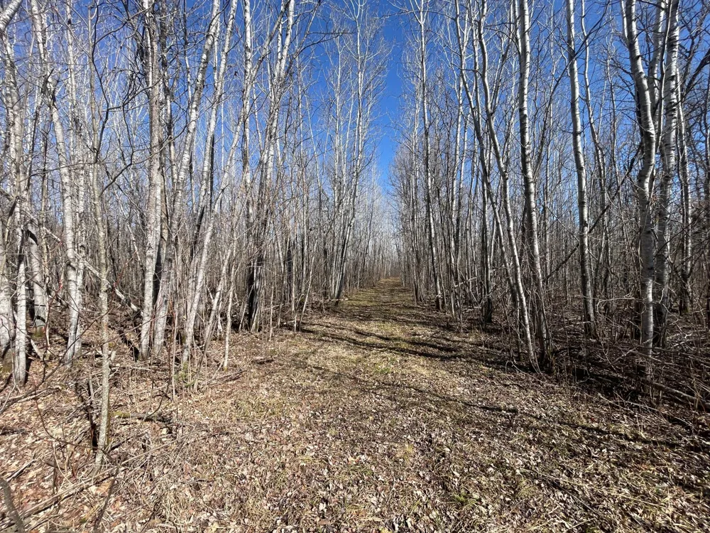 TBD Cormorant Road NE Kelliher, MN 56650