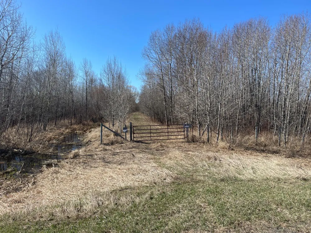 TBD Cormorant Road NE Kelliher, MN 56650