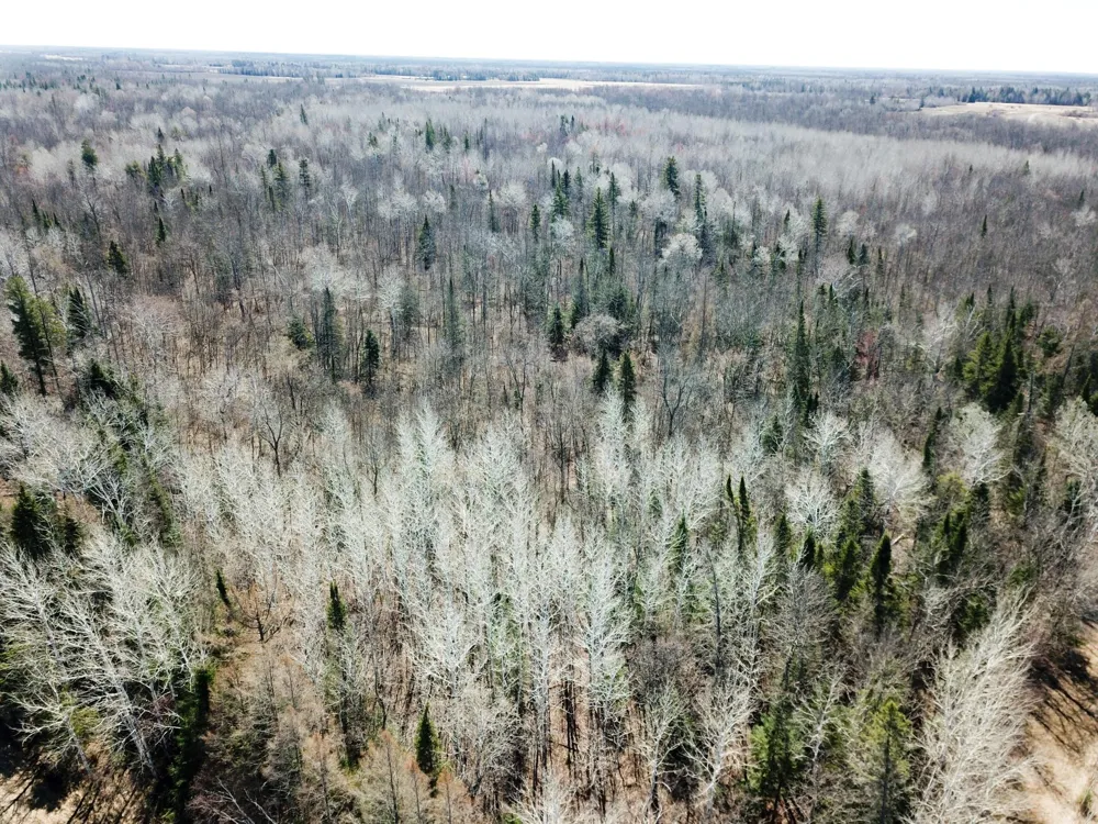 TBD Cormorant Road NE Kelliher, MN 56650