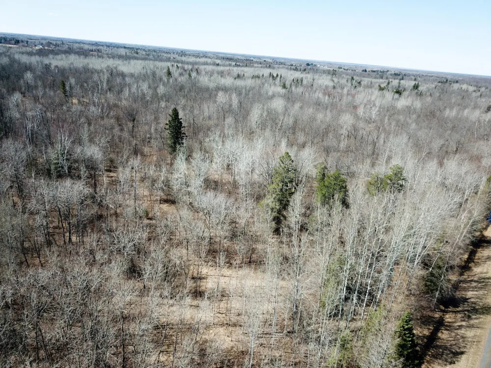 TBD Cormorant Road NE Kelliher, MN 56650