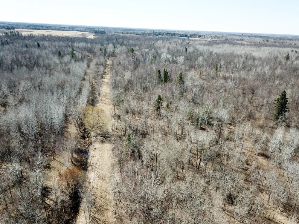 TBD Cormorant Road NE Kelliher, MN 56650