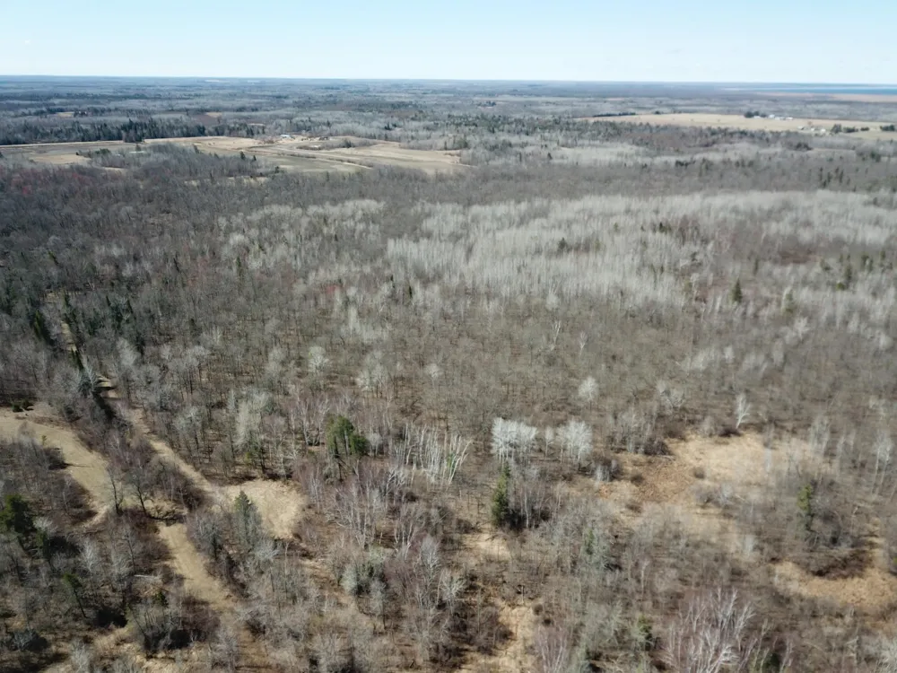 TBD Cormorant Road NE Kelliher, MN 56650