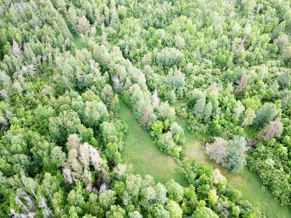 TBD Cormorant Road NE Kelliher, MN 56650
