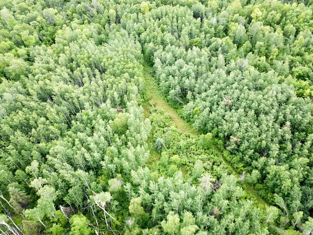 TBD Cormorant Road NE Kelliher, MN 56650