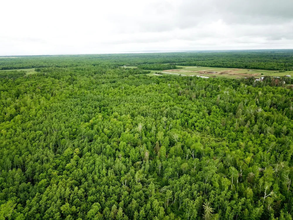 TBD Cormorant Road NE Kelliher, MN 56650
