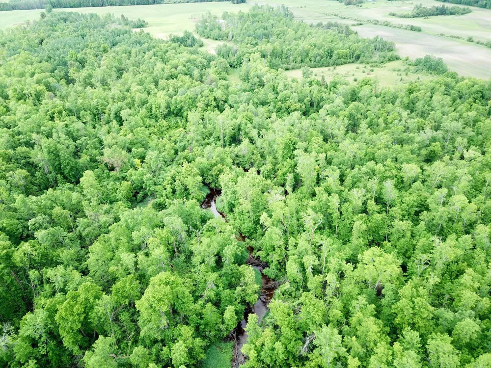 TBD Cormorant Road NE Kelliher, MN 56650