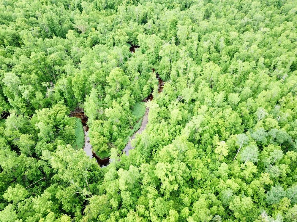 TBD Cormorant Road NE Kelliher, MN 56650