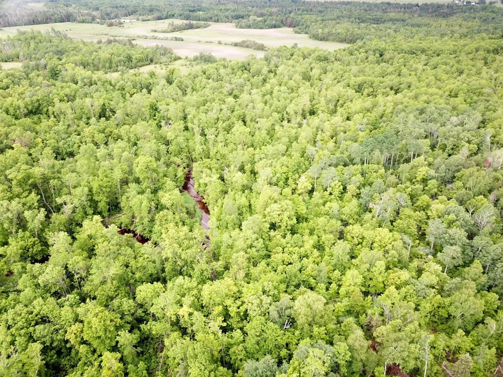 TBD Cormorant Road NE Kelliher, MN 56650