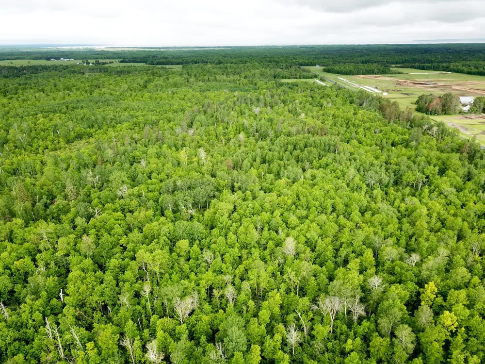 TBD Cormorant Road NE Kelliher, MN 56650