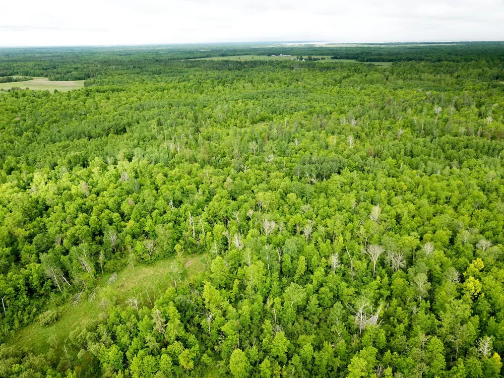 TBD Cormorant Road NE Kelliher, MN 56650