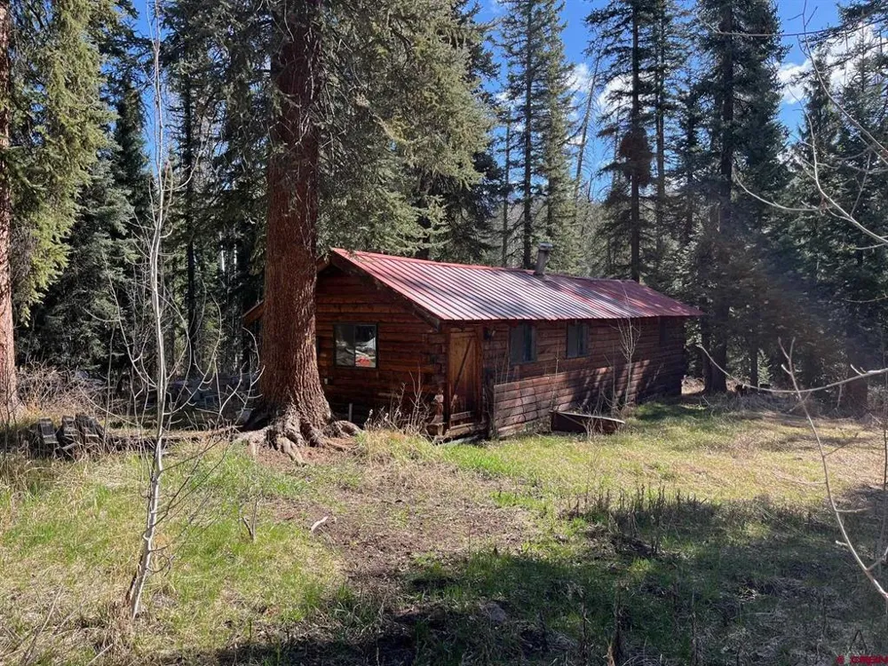 114 Meadowbrook Park Creede, CO 81130