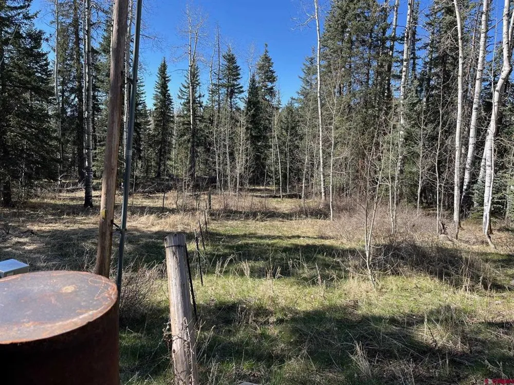 114 Meadowbrook Park Creede, CO 81130