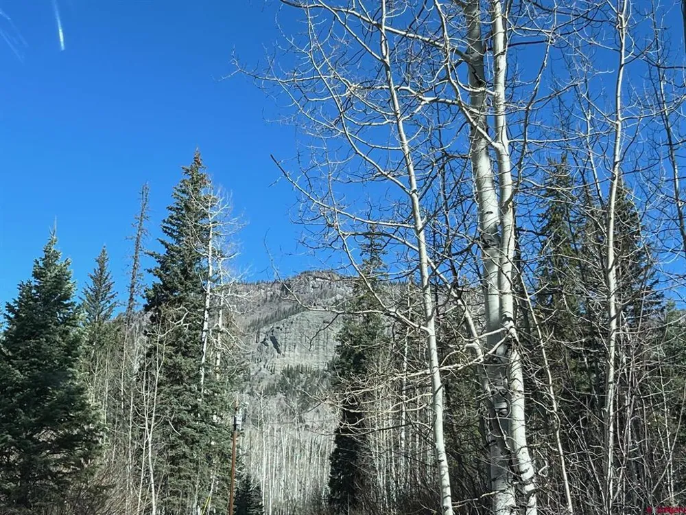 114 Meadowbrook Park Creede, CO 81130