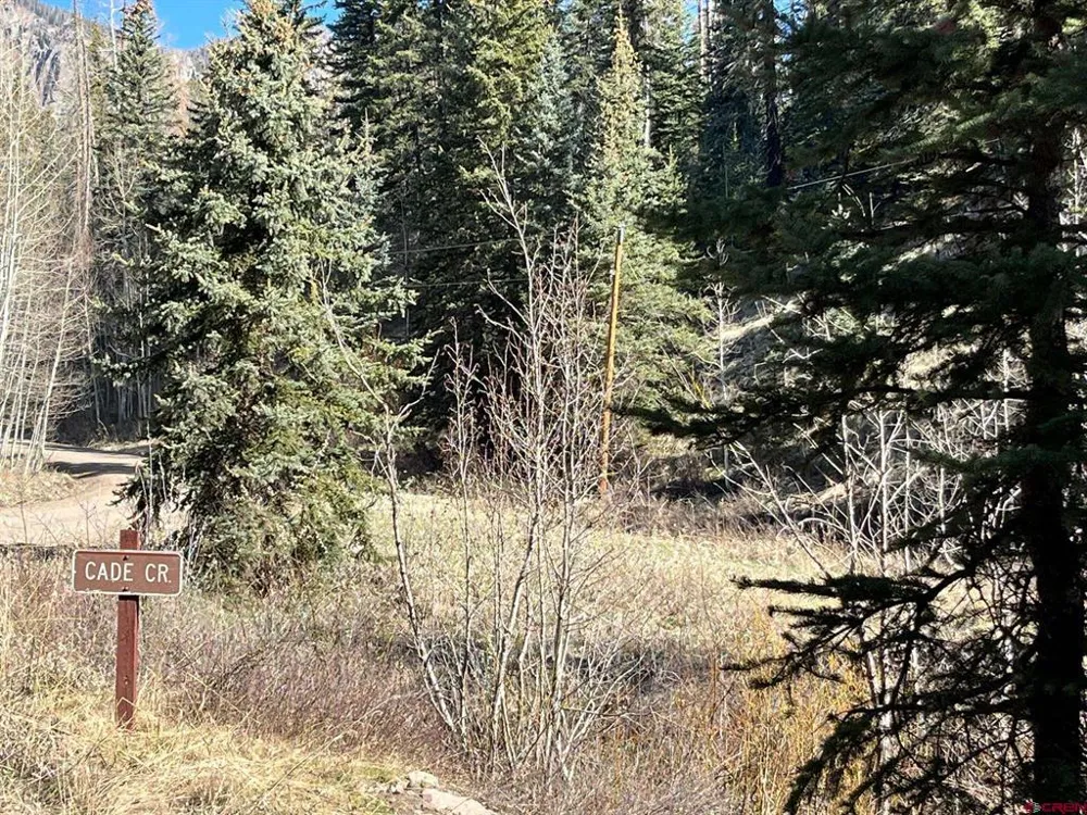 114 Meadowbrook Park Creede, CO 81130