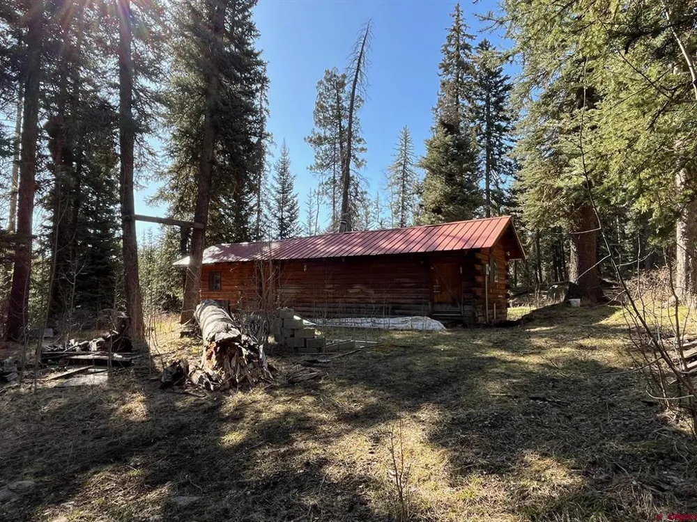 114 Meadowbrook Park Creede, CO 81130