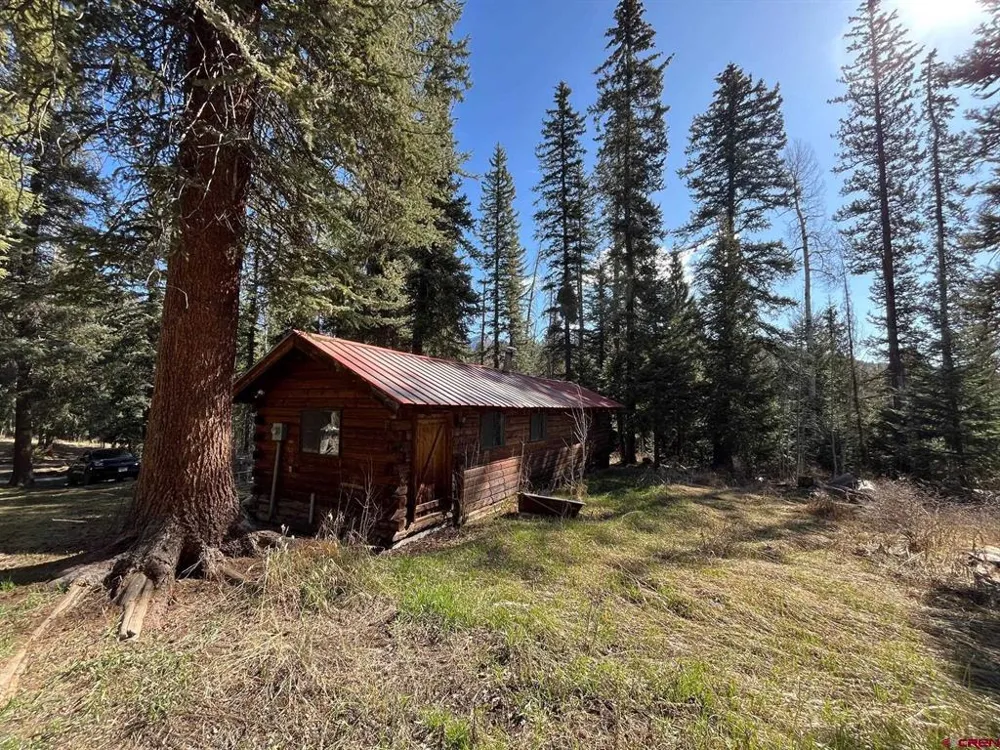 114 Meadowbrook Park Creede, CO 81130