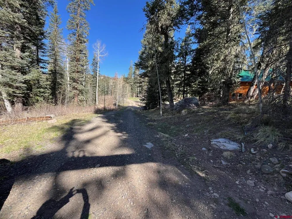 114 Meadowbrook Park Creede, CO 81130