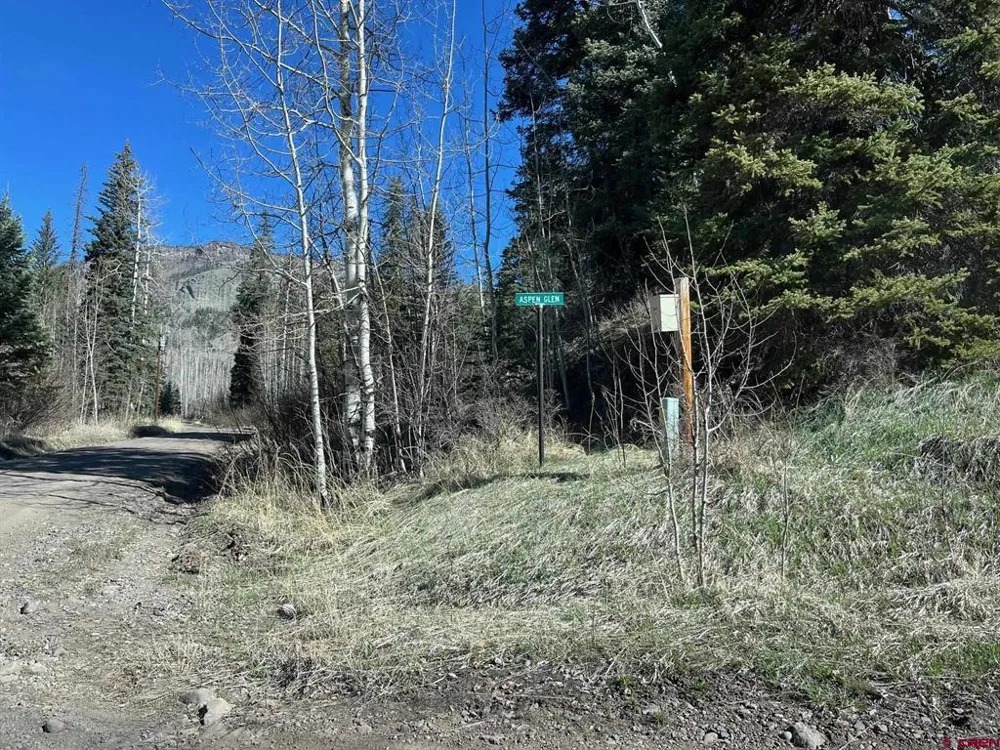 114 Meadowbrook Park Creede, CO 81130