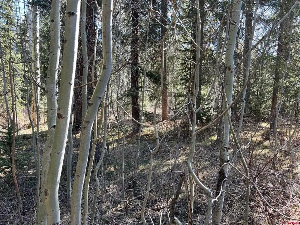 114 Meadowbrook Park Creede, CO 81130