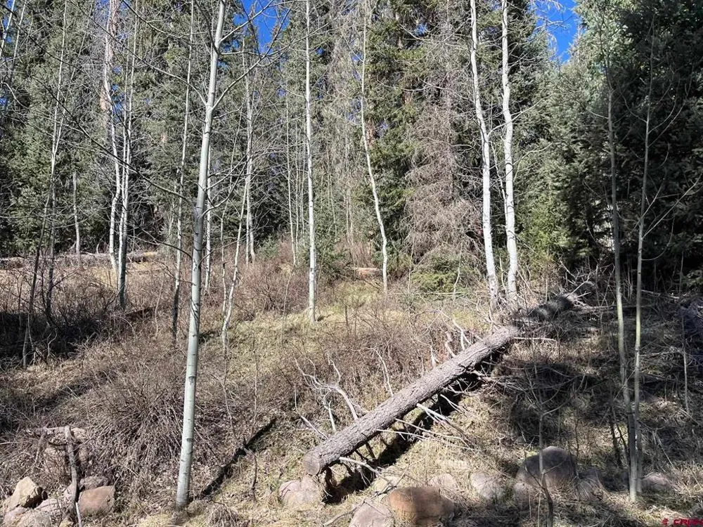 114 Meadowbrook Park Creede, CO 81130