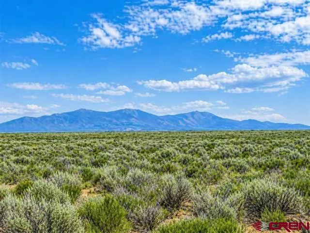 COUNTY ROAD CC .25 La Jara, CO 81140