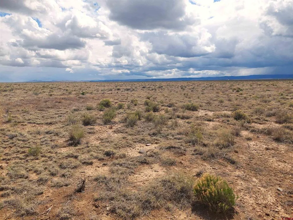 COUNTY ROAD CC .25 La Jara, CO 81140
