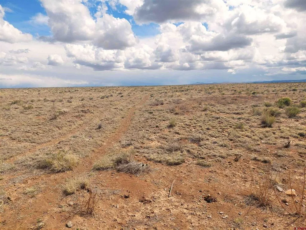 COUNTY ROAD CC .25 La Jara, CO 81140
