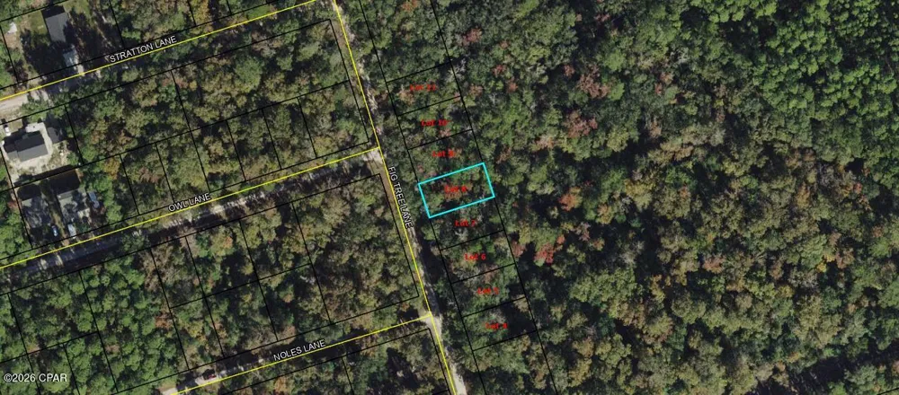8 Fig Tree Lane Crawfordville, FL 32327