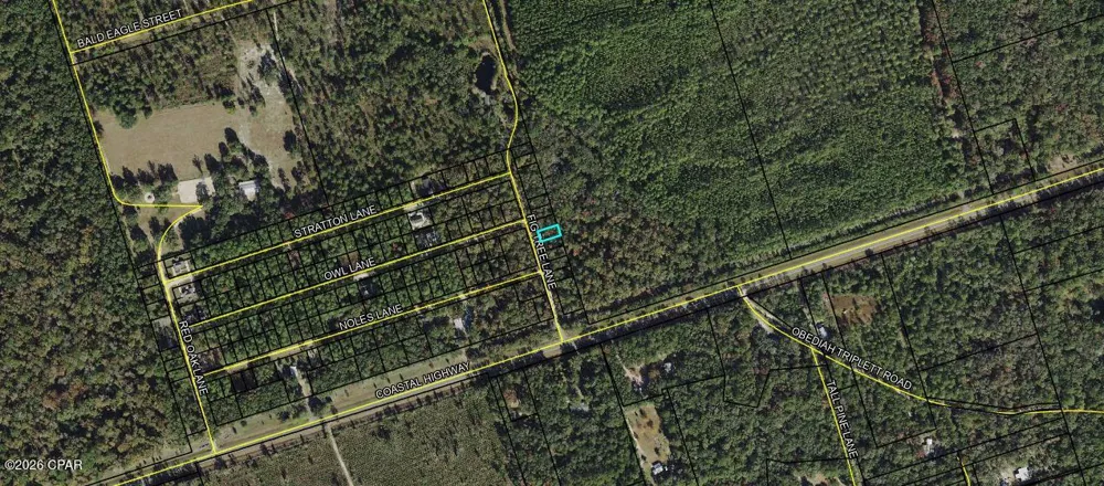 8 Fig Tree Lane Crawfordville, FL 32327