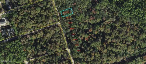 11 Fig Tree Lane
