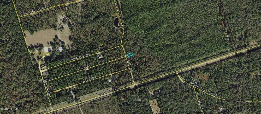 10 Fig Tree Lane Crawfordville, FL 32327